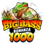 big-bass-bonanza-1000.fr favicon